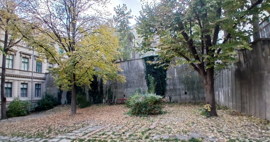 20251025_141721.jpg