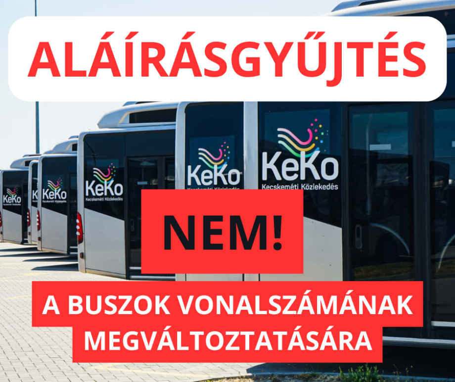 A_bekezdés_szövege.png