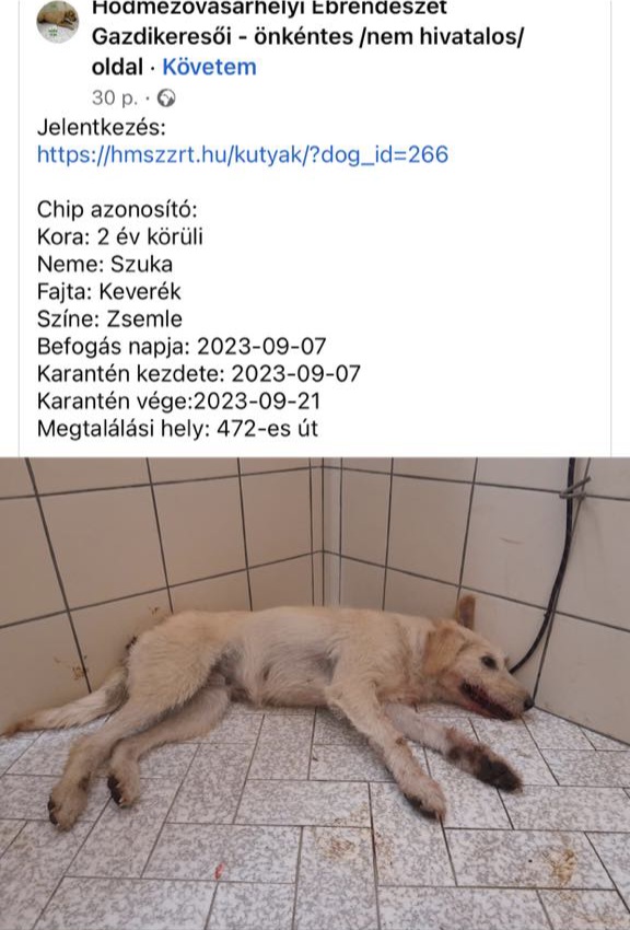 Messenger_creation_fffbebdd-bbf0-4a17-9d71-7299a61dd5cd6.jpeg