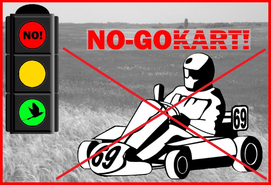 NO-GOKART_vegl.jpg