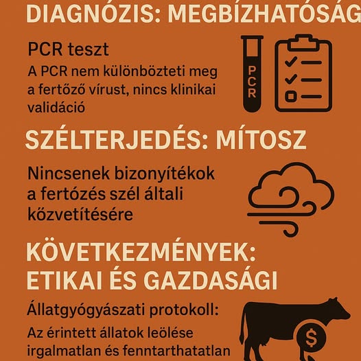 PETICIÓ.jpg
